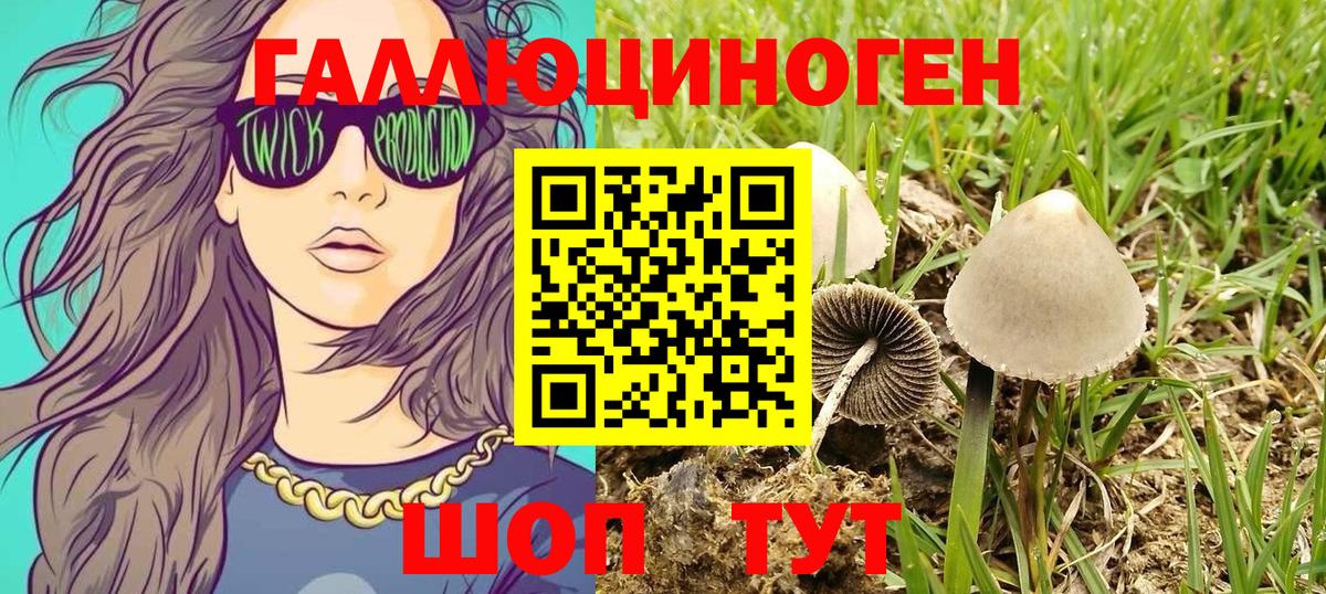 Псилоцибиновые грибы прущие грибы  Псилоцибиновые грибы Magic Shrooms  Светлоград  Вход с VPN 